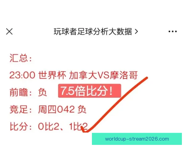 世界杯竞猜实时比分全面解析与最新赛况即时更新指南